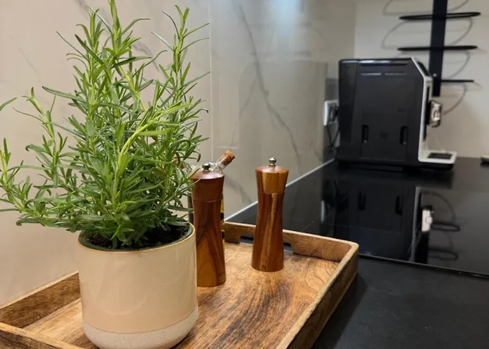 Apartment Modern Vero Portova